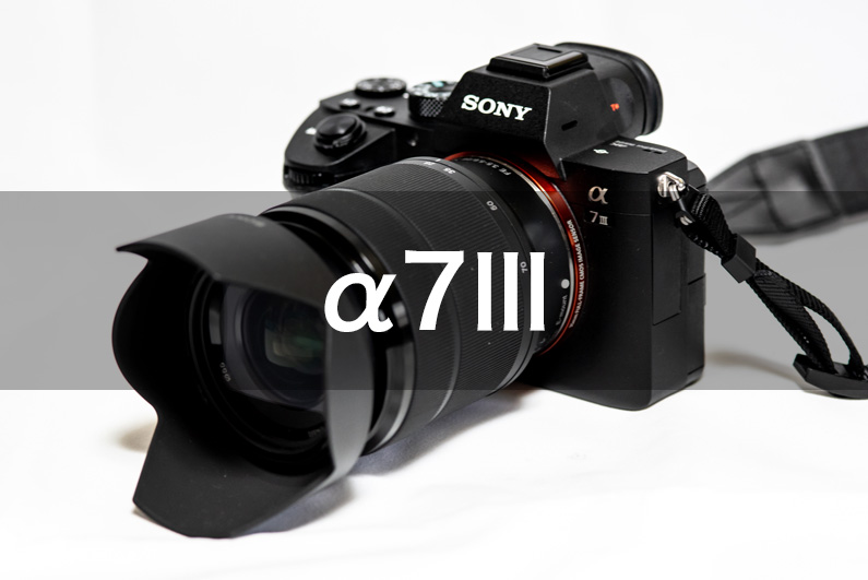 嬉しい】確かな性能と高級感 – ミラーレス一眼レフカメラ『Sony α7Ⅲ